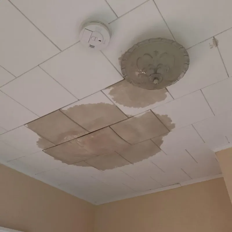 Ceiling Water Damage Repair in Emerson, GA