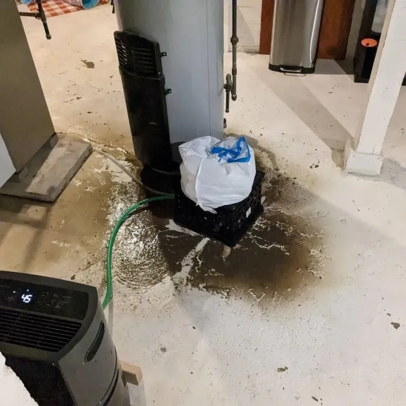 Sewage Backup Cleanup Service in Emerson, GA